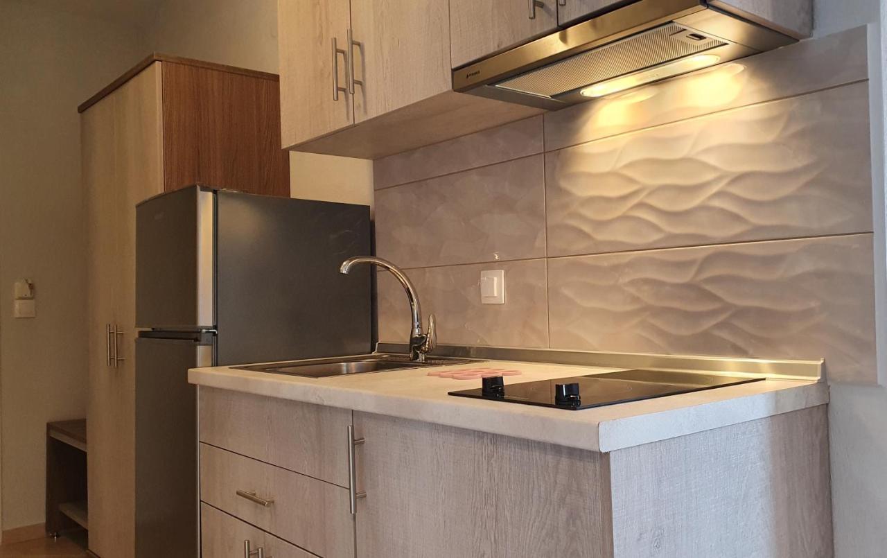 Vasiliki House Apartment Sarti Ngoại thất bức ảnh